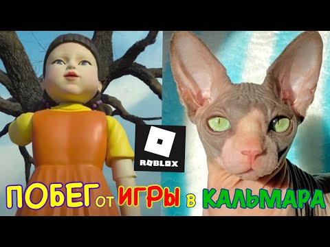 Видео: Кот УБЕГАЕТ от ИГРЫ в КАЛЬМАРА в Roblox 😻 Kot Million Games