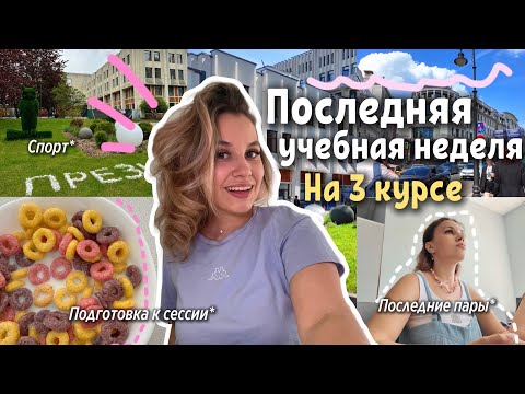 Видео: Последняя неделя в институте на 3 курсе РАНХиГС
