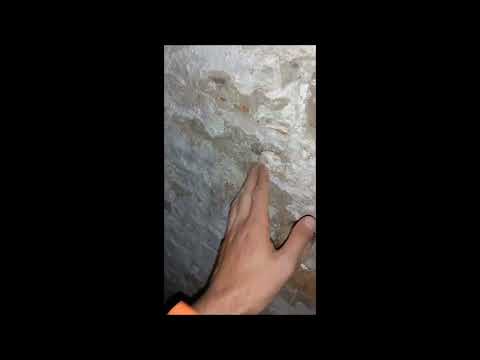 Видео: #сушим#подвал к зиме#быстрый#способ#просушить #подвал#избавляемся#от#мокрого#подвала