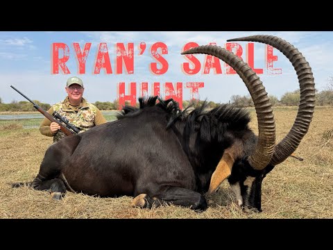 Видео: Охота Райана на соболя с Limcroma Safaris