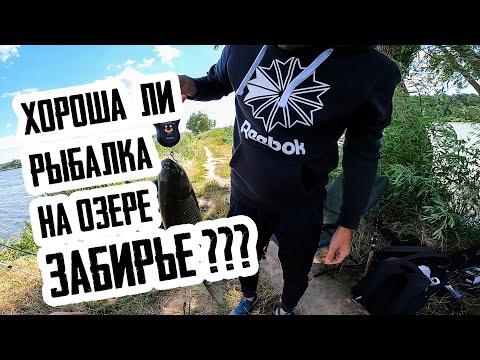 Видео: Обзор озера "Забирье". Стоит ли сюда ехать? thefish.