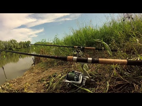 Видео: Вечерний Язь