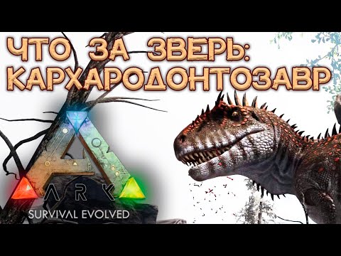 Видео: КАРХАРОДОНТОЗАВР! ОБЗОР: как приручить и что умеет // ARK Survival Evolved