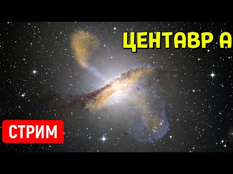 Видео: Путешествие по Галактике Центавр А | Space Engine | Стрим