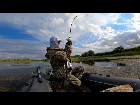 Видео: ВОТ ЭТО  МОНСТР !!! ЗМЕЕГОЛОВА на СПИННИНГ !!!  Catching snakehead , Kazakhstan .