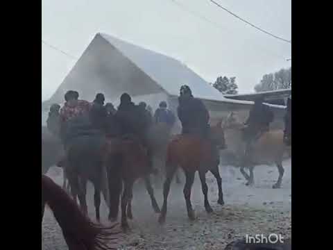 Видео: "Кепер-арык "айылы Үйлөнүү той,аламан улак Чоң-арык айылына буйруду