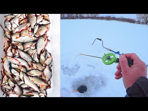 Видео: Эта БЕЗМОТЫЛКА ловит ВЕЗДЕ! Ящик рыбы на одну мормышку! Лучшая зимняя рыбалка 2021! Плотва и прочие