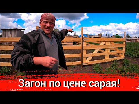 Видео: Загон для быков. Сколько денег потратили на стройку. Какие размеры загона.