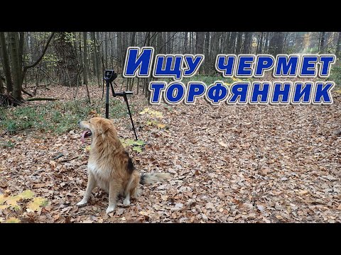 Видео: Разведка, поиск металлолома на торфянике (с одной "н")))