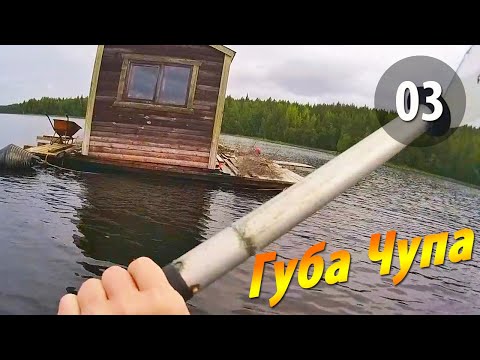 Видео: #03 Юг губы - Чупинская кругосветка 2025