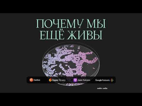 Видео: Ошибка природы: как открыли самый загадочный инфекционный агент | Подкаст Почему мы ещё живы