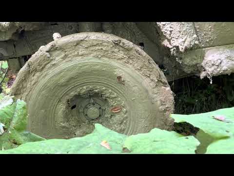 Видео: 7 декабря 2022 г.