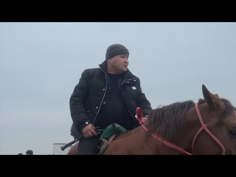 Видео: Абенов Ерболдың Дарын ұлына елден бата алу көкпар тойы.