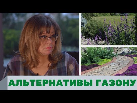 Видео: Альтернативы газону, газон на участке, озеленение участка, ландшафтный дизайн участка