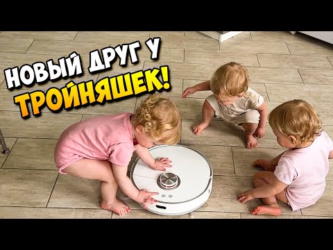 Видео: Новый друг у ТРОЙНЯШЕК!) 👶👶👶