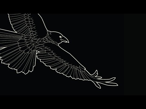 Видео: mxrningstar - хүн ft. Céline Dessberg (lyric video)