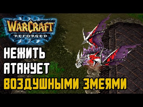 Видео: НЕЖИТЬ АТАКУЕТ ВОЗДУШНЫМИ ЗМЕЯМИ: Edo (Ud) vs Maiev (Ne) Warcraft 3 Reforged