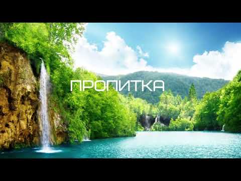 Видео: "ПРОПИТКА" Валерий Гусаревич . г. Алматы