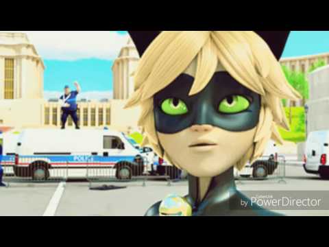 Видео: Леди баг и кот нуар///Ядовитая любовь...