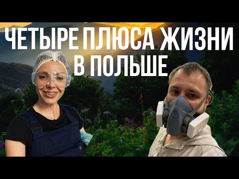 Видео: ЧЕТЫРЕ ПЛЮСА ЖИЗНИ В ПОЛЬШЕ