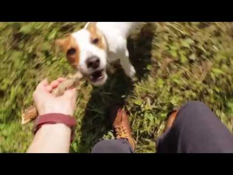 Видео: мое дно