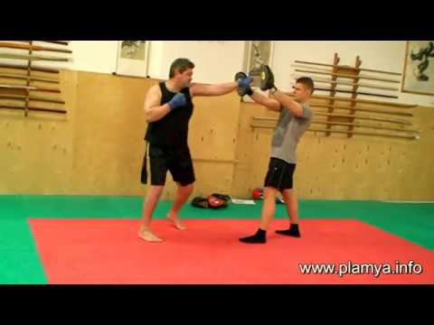 Видео: Прямой удар по лапам - Радислав Рева.