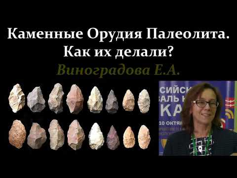 Видео: 🐵 Виноградова Е. О чём говорят каменные орудия палеолита? Эволюция технологий древних людей.VidRMast