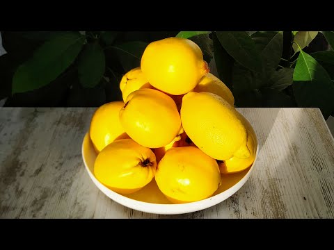 Видео: Быстрое варенье из айвы