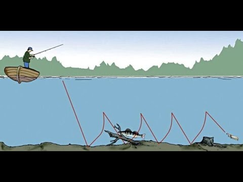 Видео: Как стабильно делать джиг проводку🍀Джиг ступенька без проблем🍀РР4🍀RF4🍀Русская рыбалка 4🍀