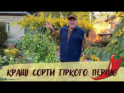 Видео: Кращі сорти гіркого перцю!
