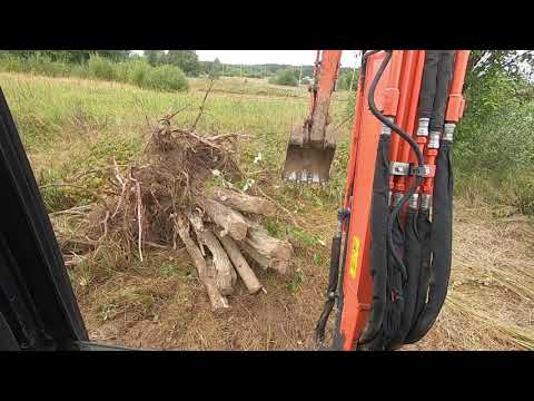 Видео: Как расчистить заросший участок | Удаление деревьев и поросли.