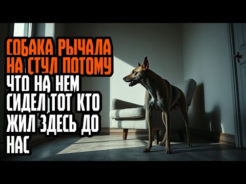 Видео: СОБАКА РЫЧАЛА НА СТУЛ ПОТОМУ ЧТО НА НЕМ СИДЕЛ ТОТ КТО ЖИЛ ЗДЕСЬ ДО НАС