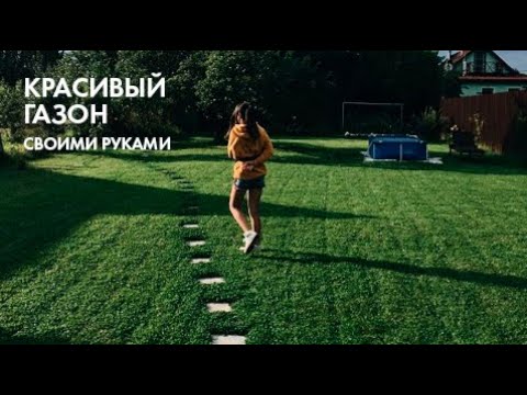 Видео: Все о газоне. Выбор, посадка, уход