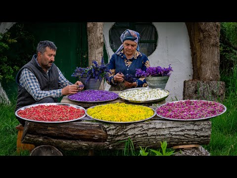 Видео: Собираем дикие цветы для приготовления сладостей