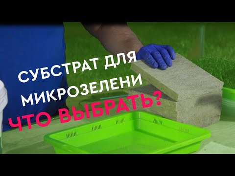 Видео: Обзор субстратов для микрозелени. Универсальное решение —Каменная вата.