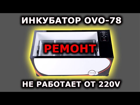 Видео: OVO 78 Инкубатор не включается от сети 220V что делать?