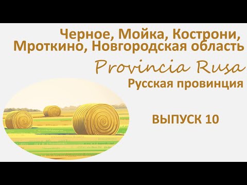 Видео: Черное, Мойка, Кострони, Мроткино, Батецкий район, Новгородская область. Provincia Rusa выпуск 10