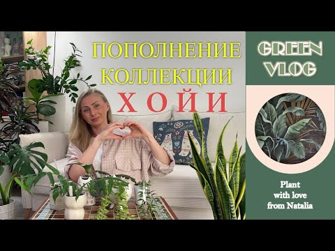 Видео: ХОЙИ🌿 | ПОПОЛНЕНИЕ КОЛЛЕКЦИИ❤️