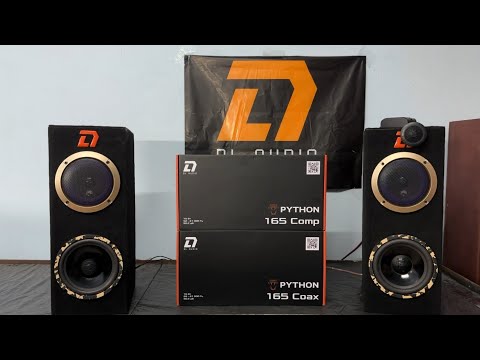 Видео: DL Audio Python 165 Comp & Coax (Чешуйчатые певуны)