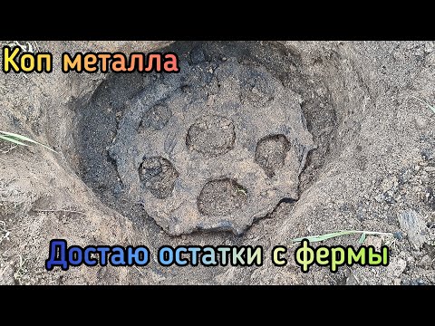 Видео: Металлокоп на бывшей ферме, много мелочовки и приятные большие находки #belarus