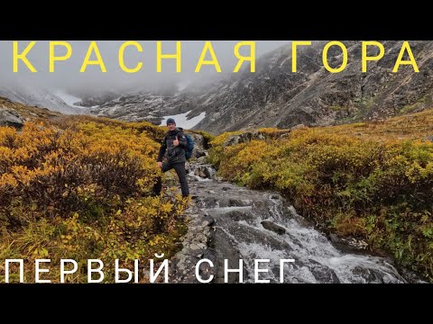Видео: Горный Алтай 🌤🍁🍂в СЕНТЯБРЕ. Усть-Кокса.Мульта. Красная Гора. #горныйалтай#горы#автопутешествие