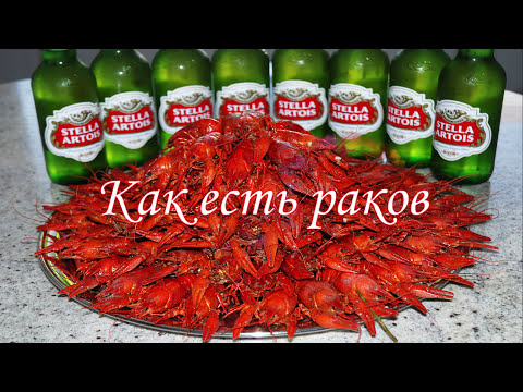 Видео: КАК ЕСТЬ РАКОВ. Выпуск №299