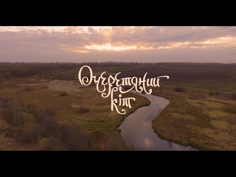 Видео: Очеретяний кіт - Буряки (Official Video)