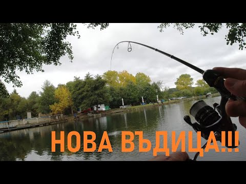 Видео: ВЗЕХ СИ НОВА ВЪДИЦА ЗА AREA РИБОЛОВ! РИБОЛОВ НА АМЕРИКАНСКИ ПЪСТЪРВИ!