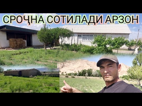 Видео: СРОЧНА ТЕЗ КУРИНГ АРМОНДА ҚОЛМАНГ 5 ХОНА УЙ БЕПУЛ 20 СОТИК ТАМОРТҚА 135000 СОМОНИ