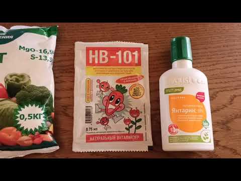 Видео: Реанимация роз, которые не подают признаков жизни!