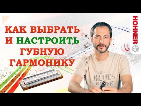 Видео: Как выбрать губную гармонику | Настройка губной гармошки