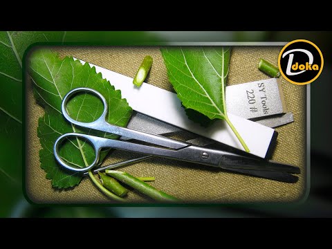 Видео: ЯК ЗМУСИТИ НОЖИЦІ РІЗАТИ ТЕ, ДЛЯ ЧОГО ВОНИ НЕ ПРИЗНАЧЕНІ