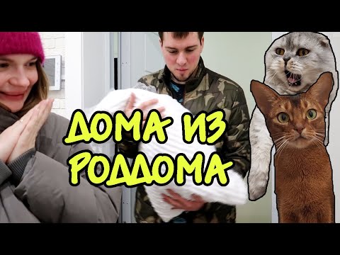 Видео: УРА! ДОЧКА ДОМА! КТО БУДЕТ ЗАНИМАТЬСЯ МАЛЫШОМ? | ляпота тв новые серии