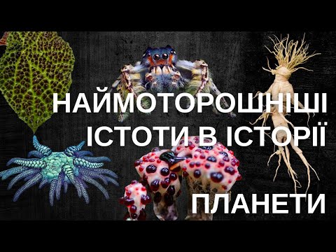 Видео: ДЕСЯТЬ МОТОРОШНИХ ІСТОТ: РОСЛИНА-КАЖАН, ПАВУК-ВАМПІР, МОРСЬКИЙ ОГІРОК-КТУЛХУ ТА ШТОПОРИ ДИЯВОЛА